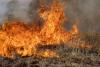 Dry conditions and increased vegetation set stage for higher wildfire risk in Texas