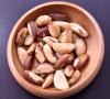 The Amazon’s forgotten pharmacy: New science reveals Brazil nuts’ full therapeutic potential