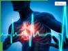 Heart Health After 40: 10 Easy Lifestyle Changes To Prevent Heart Attacks Naturally