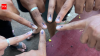‘Vanished by next day’: After marker row, SEC to revert to bottled indelible ink; quotations invited from manufacturers