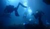 Science The Cool Down Scientists stunned after making ghostly discovery deep inside 'underwater hotels': 'We can safeguard them before it's too late'