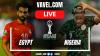 Summary: Egypt 0(2-4)0 Nigeria in Africa Cup of Nations