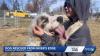 News We Love: ‘Banks,’ a dog pulled from a muddy Iowa river, may soon have a new home