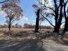 Australian farmers fight for their livelihoods following bushfires and floods