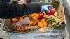 WFP Recommends National Policies to Reduce Food Waste in Jordan
