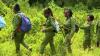 How a group of women use technology to conserve environment in Laikipia