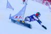 Top Bulgarian Snowboarders Advance in Bansko Visa FIS Alpine World Cup