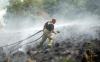 Natural England orders staff not to tackle wildfires