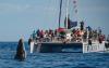 Maui’s recovering tourism industry receives boost from return of the humpback whales