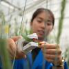 CSIRO opens free program for SMEs developing farm and food technology solutions