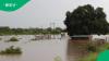 Limpopo floods: missing children's toll rises, South Africans reeling