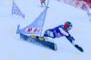 BTA: Tervel Zamfirov after Winning Parallel Giant Slalom at FIS Wotrld Cup in Bansko: "A Historic Day for Bulgarian Sport"