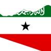 Israele fomenta il separatismo del Somaliland per aprire basi militari sul mar Rosso, attaccare lo Yemen e scatenare una crisi regionale