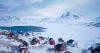 Greenland’s unorthodox nature: what’s it like to visit the world’s largest island