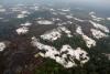 Indonesia targets illegal mining on 190,000 hectares of forest land