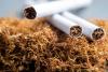 Study Places Nepal Among Countries Facing Moderate Tobacco Industry Influence