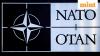 NATO vs NATO over Greenland? What is the alliance, who are its members, and what does it actually do?