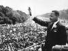 Martin Luther King Jr. Day events, parades and celebrations in Southwest Florida