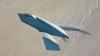 YF-118G: The Bird of Prey Stealth Aircraft Has a Message for the Air Force