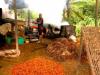 Cameroon palm oil output drops 39.7% in Q2 2025 amid structural constraints
