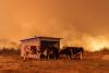 Chile Burns Again as Wind Turns Neighborhoods into Ash Overnight