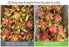 StePacPPC’s advanced packaging extends global access of dragon fruit