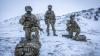 Greenland updates: Denmark floats NATO mission on island