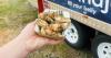 Inside Eden’s food truck bringing bush tucker to new audiences