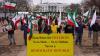 Albania: What role does the MEK play in the Iran protests?