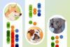 Which dog breed stereotypes are true? Here’s the science