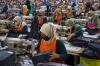 Indonesia mulls state firm to guard textile sector from tariffs