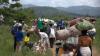 Eastern Congo Violence Pushes Refugees into Neighboring States