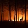Entire towns wiped out in Chile wildfires