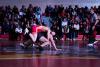 NJWWA Wrestling Rankings: Delaware Valley Climbs, Jackson Joins