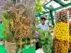 Everything You Need to Know About Bahrain International Garden Show 2026