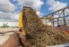 Belize sugar cane harvest and milling season starts