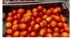 Tomato traders hail government FSRP-FarmMate projects' produce