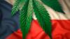 Home Growing of Cannabis Is Now Legal in Czechia. What You Need to Know