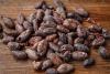Cocoa Prices Sink as Weak Global Demand May Boost Surpluses