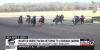 Quarter horse racing returns to Louisiana Downs Casino and Racetrack