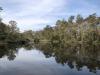 When wetlands disappear, flood risks rise