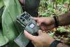 Camera traps in Costa Rica reveal a wealth of fauna in banana industry-protected forests