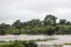 South Africa’s Kruger National Park to take years to recover from devastating floods