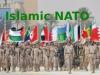 Pakistan once again hints at an Islamic NATO-like military alliance of Islamic countries !