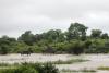 South Africa's Kruger park suffers 'devastating' damage from floods
