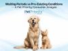 Which Pet Insurance Policies Make Sense in 2026? Waiting Periods vs Pre-Existing Conditions — A Pet Priority Consumer Analysis