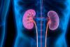 Emory Healthcare sets record-breaking number of kidney transplants nationwide
