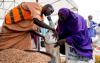 World : Over One Mln Nigerians Risk Losing Emergency Food Assistance: WFP