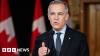 Canada's Carney stresses unity in the face of challenges at home
