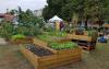 Study: Food grown in Tallinn's community gardens safe to eat